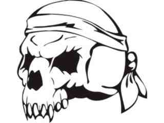 Skulls Bones_ 0 4 2 Decal Proportional