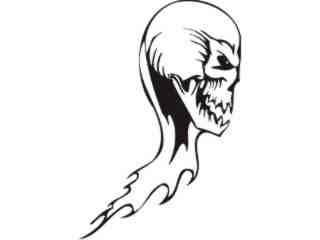  Skulls Bones_ 0 7 9 Decal Proportional