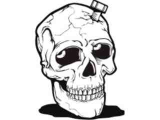  Skulls Eye Ball_ 0 0 1 Decal Proportional