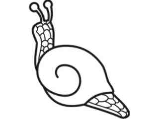  Snail_ 2 6 5 Decal Proportional