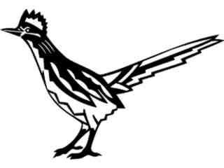  Southwest_ Roadrunner_ 1 7 7_ V A 1 Decal Proportional