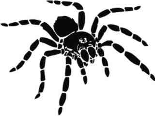  Spider Tarantula Decal Proportional