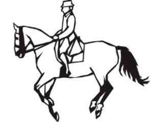  Sports Mega_ 1 0 1 Decal Proportional