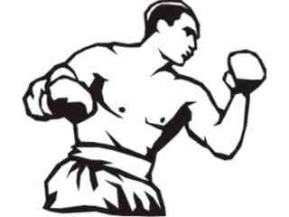  Sports Mega_ 1 3 6 Decal Proportional