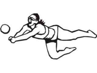  Sports Mega_ 1 6 3 Decal Proportional