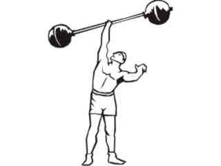  Sports Mega_ 1 6 9 Decal Proportional