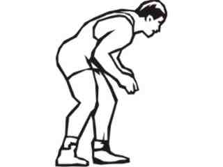  Sports Mega_ 1 7 1 Decal Proportional