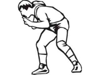  Sports Mega_ 1 7 9 Decal Proportional