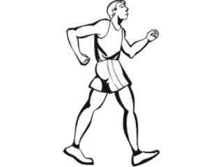  Sports Mega_ 2 2 4 Decal Proportional