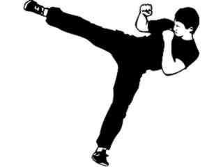  Sports_ Karate 0 5_ P A 1 Decal Proportional