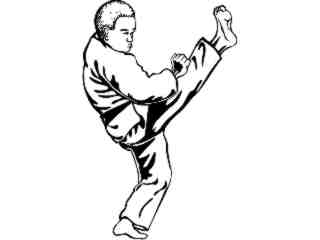  Sports_ Karate Kick M G_ P A 1 Decal Proportional