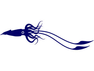  Squid Swimming Decal Proportional