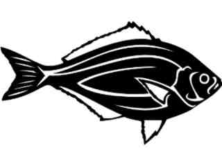  Surf Perch Fish_ 1 4 1_ V A 1 Decal Proportional