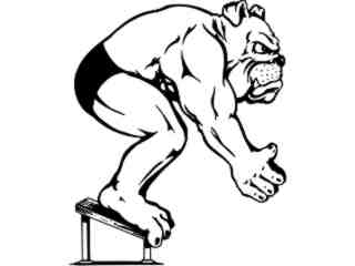  Swimming Bulldog_ M B 1 Decal Proportional