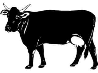  Swiss Brown Cow_ 1 3 4_ V A 1 Decal Proportional