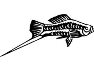  Sword Tail Fish_ 1 4 0_ V A 1 Decal Proportional