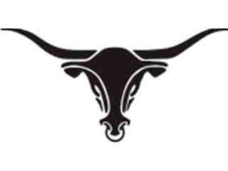  Texas Longhorn Wild Decal Proportional
