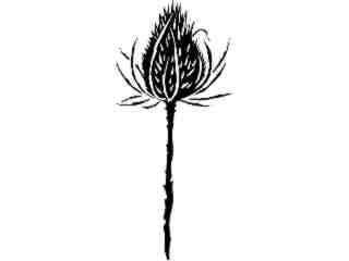  Thistle_ 1 5 4_ V A 1 Decal Proportional
