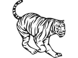  Tiger Animal Wild_ 0 0 1a Decal Proportional