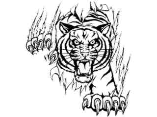  Tiger Claw_ M B 1_ D T L Decal Proportional