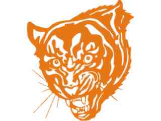  Tiger Growl Decal Proportional