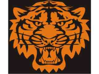  Tiger Head 4_ I N V Decal Proportional