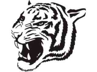  Tiger Head_ 1 4 7 Decal Proportional