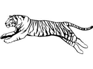  Tiger Leap_ M B 1 Decal Proportional