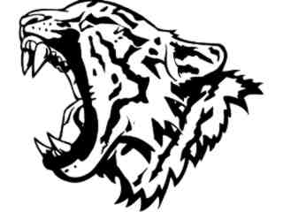  Tiger Mouth_ M B 1 Decal Proportional