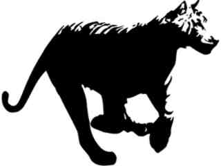  Tiger Run_ M B 1 Decal Proportional