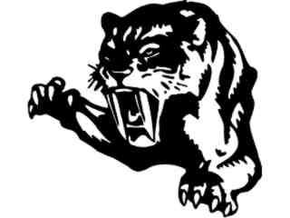  Tiger Sabertooth Decal Proportional
