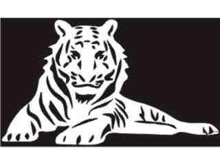  Tiger White_ I N V Decal Proportional