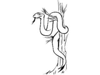  Tree Snake_ 0 4 4_ V A 1 Decal Proportional