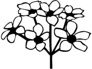  Trees Flowers_ Apple Blossoms_ P A 1 Decal Proportional