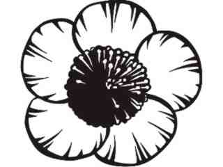  Trees Flowers_ Buttercup_ P A 1 Decal Proportional