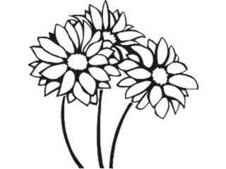  Trees Flowers_ Chrysanthemums_ P A 1 Decal Proportional