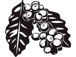  Trees Flowers_ Coffee Beans_ P A 1 Decal Proportional
