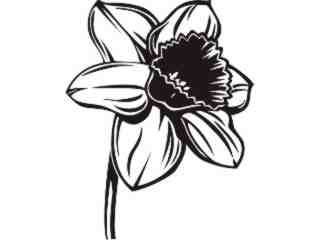  Trees Flowers_ Daffodil_ P A 1 Decal Proportional