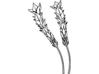  Trees Flowers_ Lavender T G_ P A 1_ D T L Decal Proportional