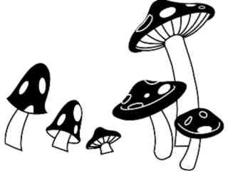  Trees Flowers_ Mushrooms 0 1 T G_ P A 1 Decal Proportional
