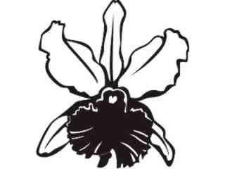  Trees Flowers_ Orchid 0 1_ P A 1 Decal Proportional