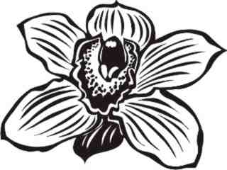  Trees Flowers_ Orchid 0 2_ P A 1 Decal Proportional