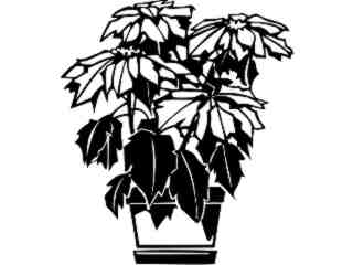  Trees Flowers_ Poinsettia_ P A 1 Decal Proportional