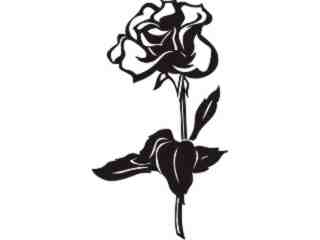  Trees Flowers_ Rose_ P A 1 Decal Proportional
