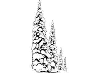  Trees Flowers_ Snowy Trees T G_ P A 1_ D T L Decal Proportional