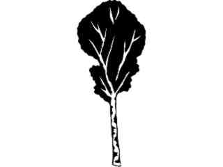  Trees_ Birch_ 1 5 7_ V A 1 Decal Proportional