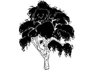  Trees_ Birch_ 1 5 8_ V A 1 Decal Proportional