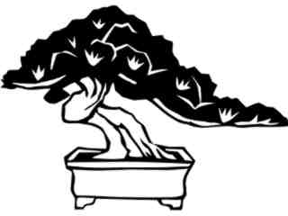  Trees_ Bonsai_ 1 5 7_ V A 1 Decal Proportional