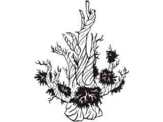  Trees_ Bristlecone_ 1 5 8_ V A 1 Decal Proportional