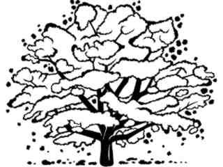  Trees_ Cherry_ 1 5 8_ V A 1 Decal Proportional